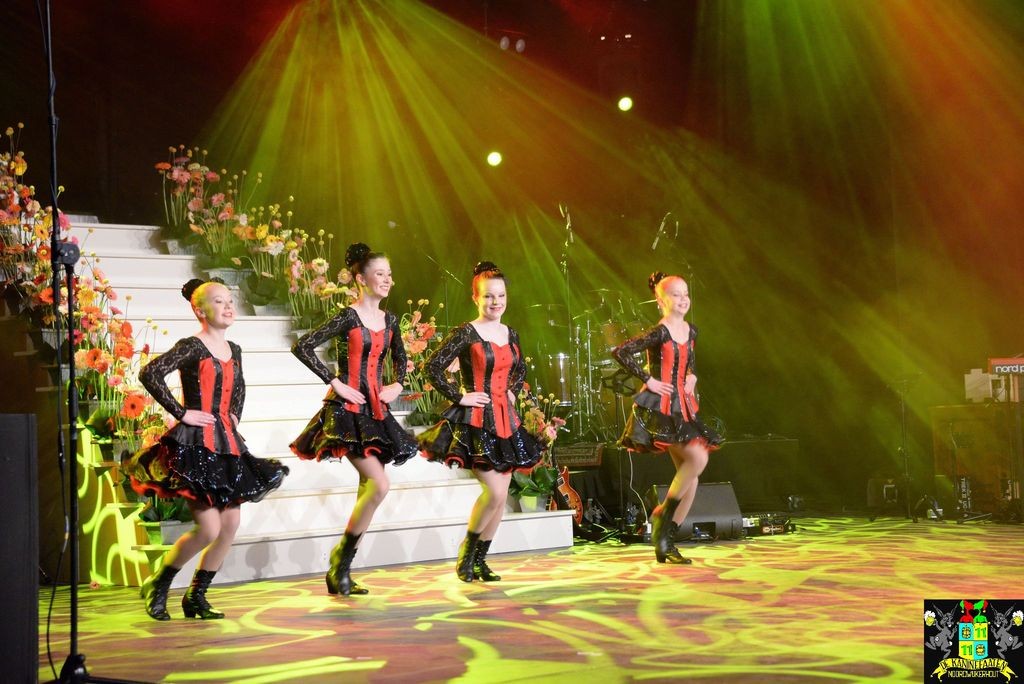 ../Images/Elf-Elf 2019 023.jpg